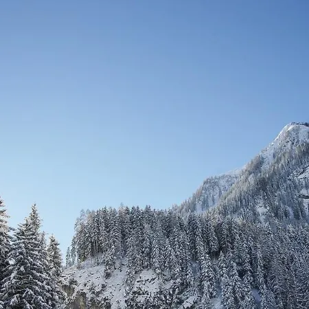 Ronjas Hutte Lägenhet Bach (Tyrol)